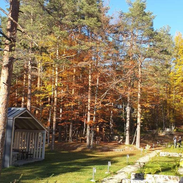 Apartman Divcigora Sokic Divčibare 외부 사진